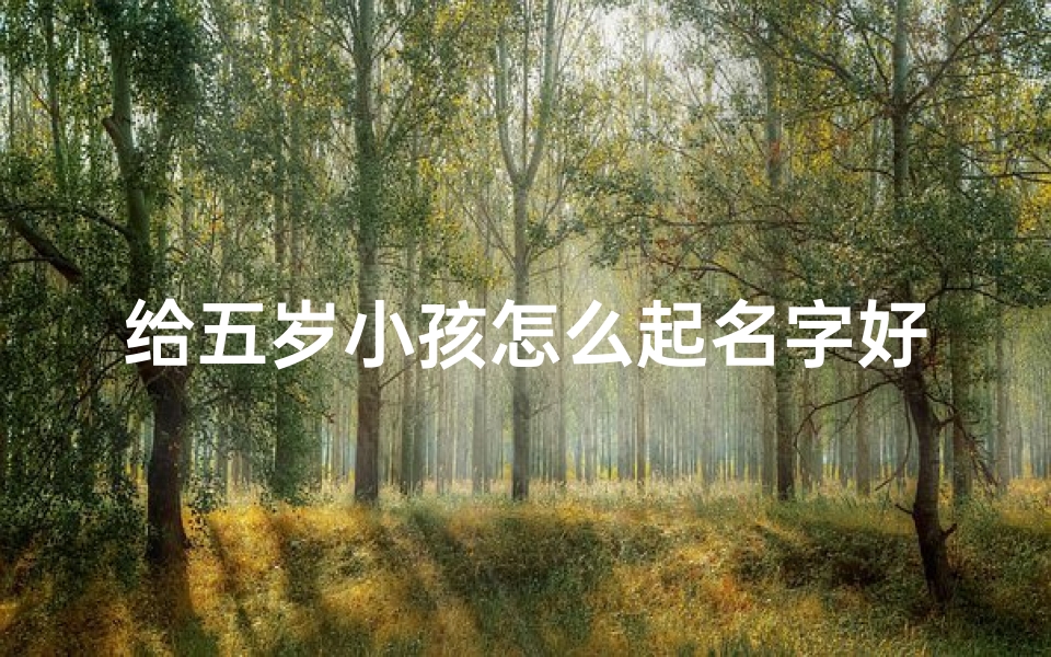 给五岁小孩怎么起名字好,五岁宝宝起名攻略：创意好名字轻松get