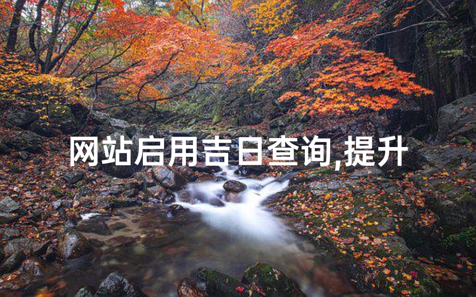 网站启用吉日查询,提升网站运营运势-详细解析与技巧