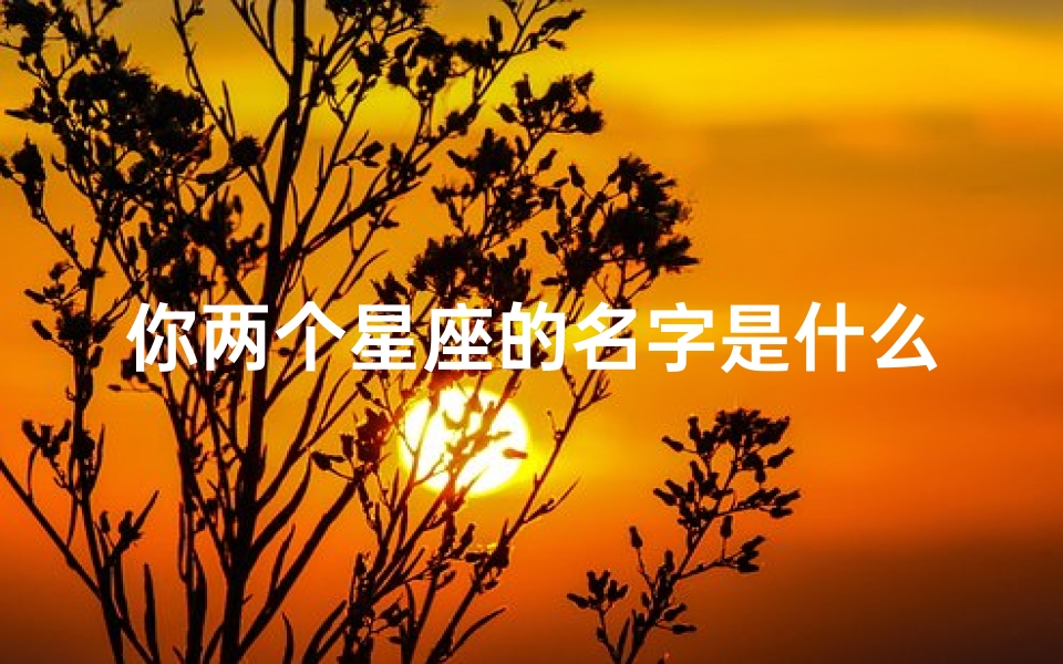 你两个星座的名字是什么(12星座的霸气古风名字)