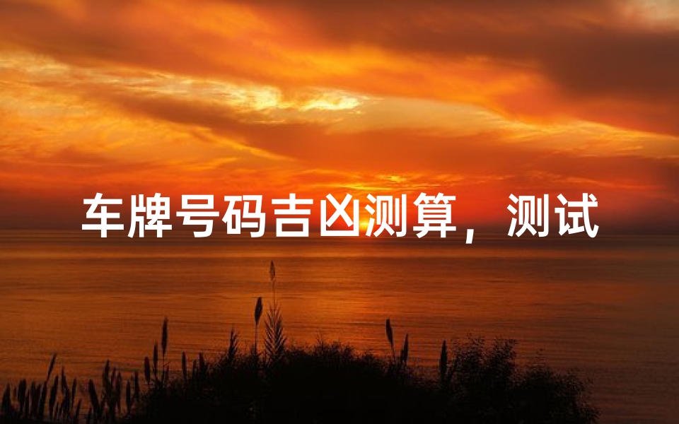 车牌号码吉凶测算,测试易助您选号无忧