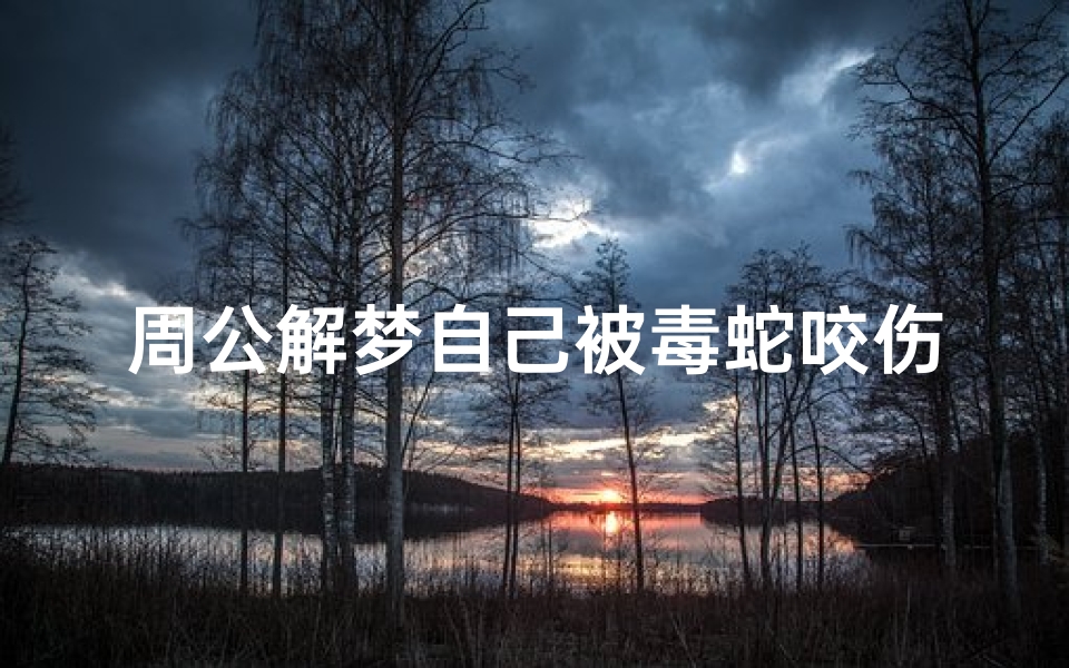 周公解梦自己被毒蛇咬伤了(梦见毒蛇咬伤了自己的预兆)