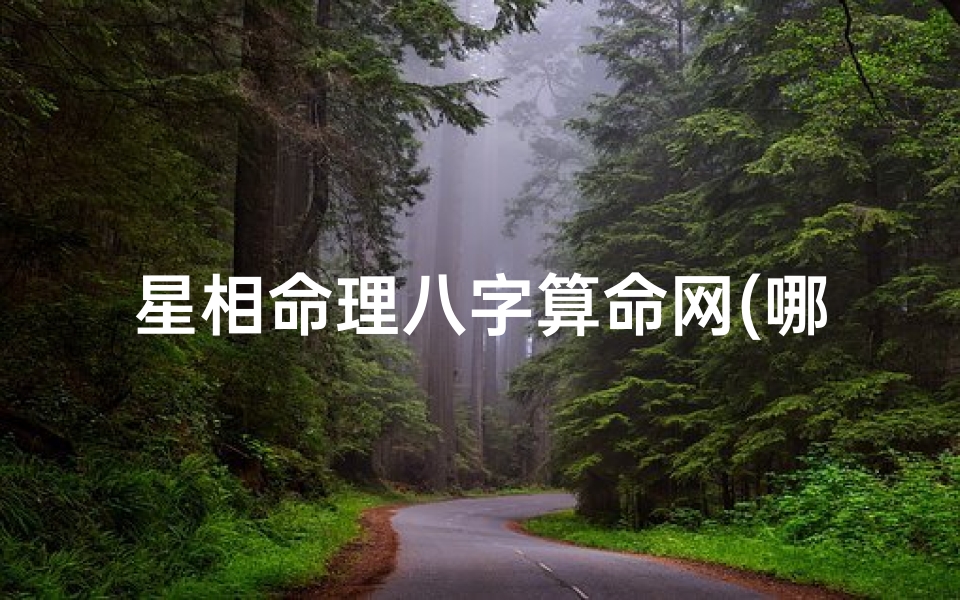星相命理八字算命网(哪个网站算命最准)