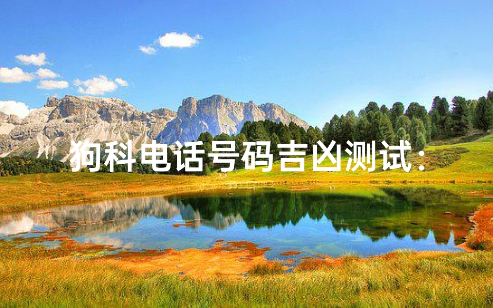 狗科电话号码吉凶测试:数字能量学解析与旺财号码挑选技巧