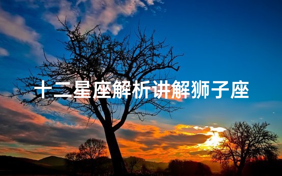 十二星座解析讲解狮子座男(最全面的的狮子座性格特点分析)