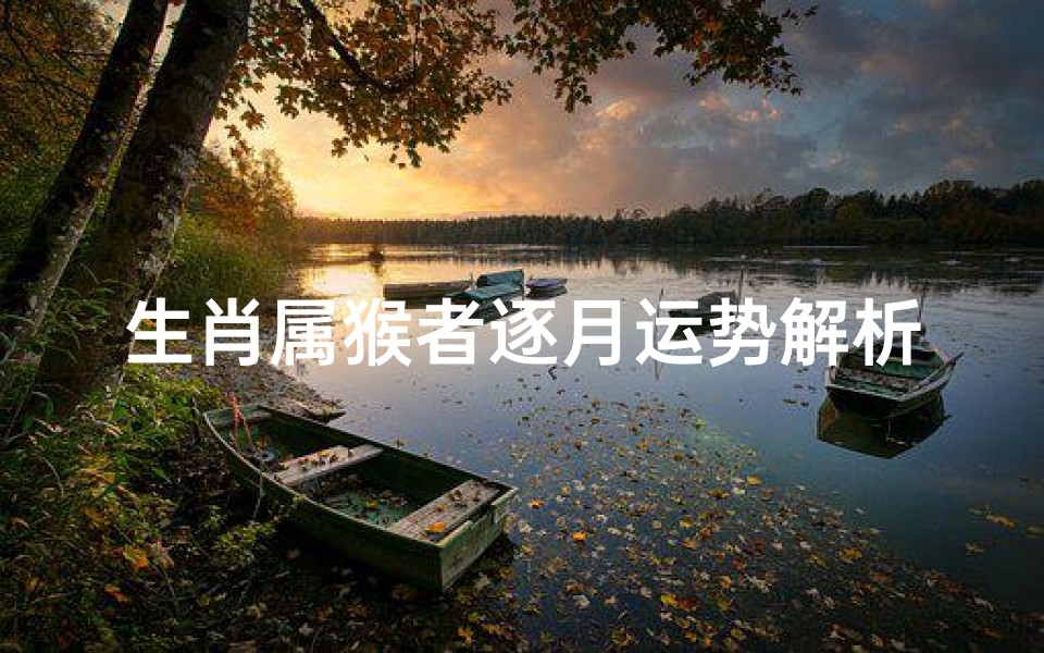 生肖属猴者逐月运势解析,2024年每月吉凶预测及转运指南