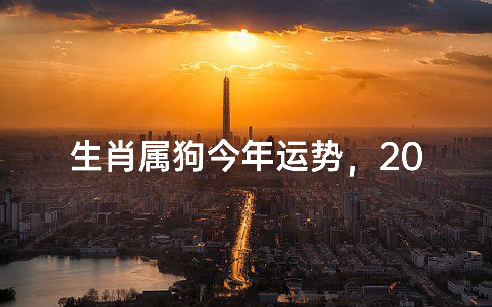生肖属狗今年运势,2024年运势解析,机遇与挑战并存的一年