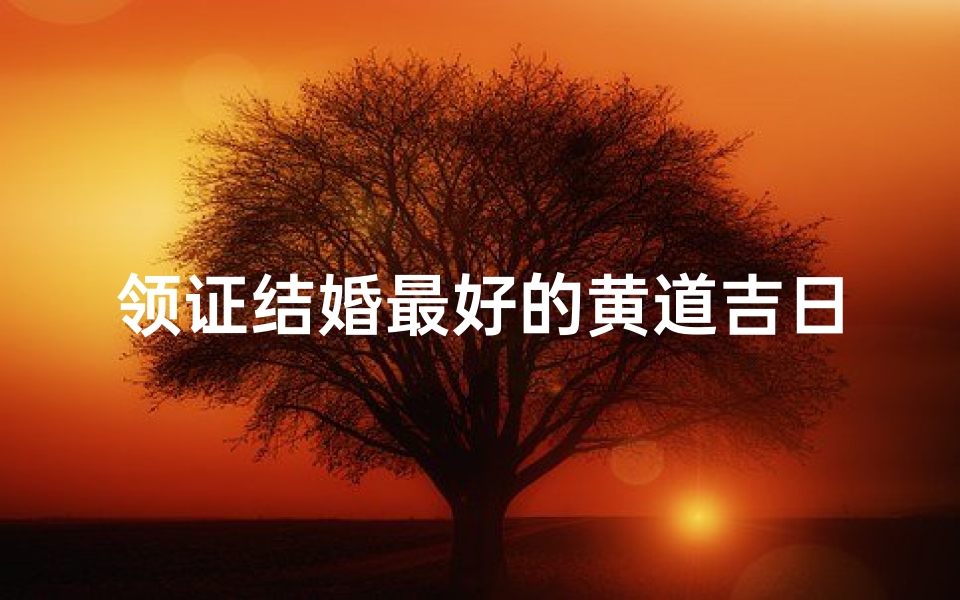 领证结婚最好的黄道吉日、领证大吉：黄道吉日见证幸福时刻