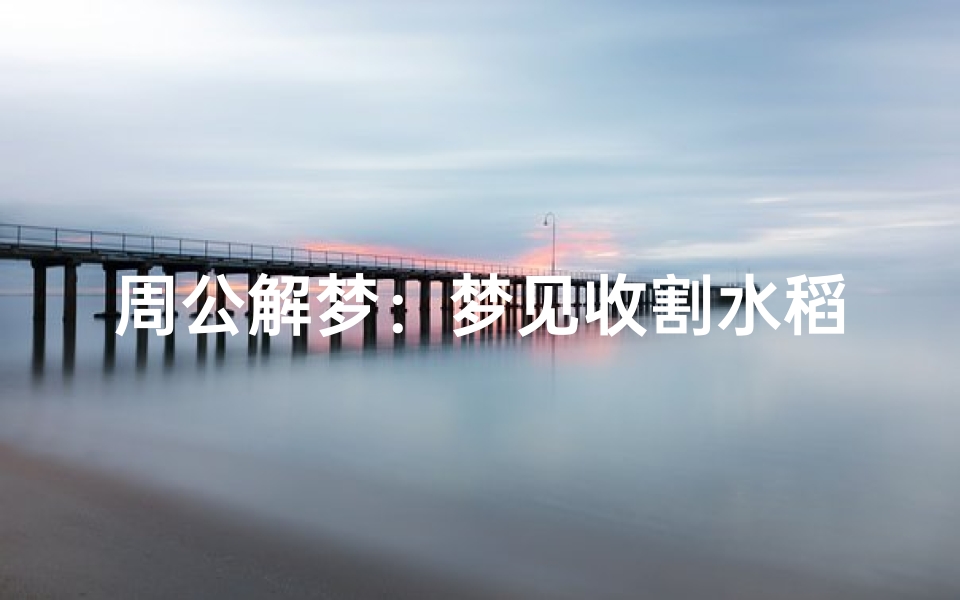 周公解梦:梦见收割水稻的深层解析,丰收场景背后的预兆与启示