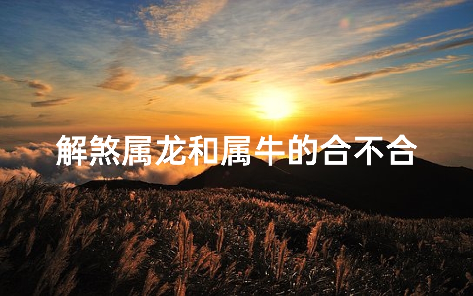 解煞属龙和属牛的合不合—属龙属牛解煞配对:合不合之谜揭晓