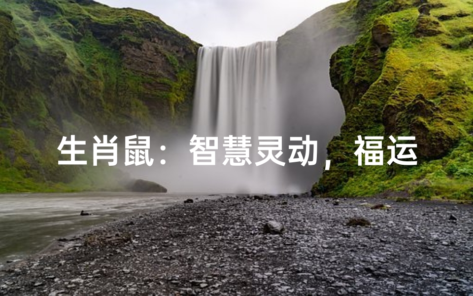 生肖鼠:智慧灵动,福运连连