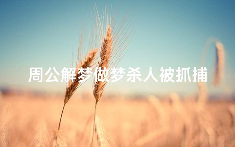 周公解梦做梦杀人被抓捕(周公解梦梦见自己杀人被抓。)