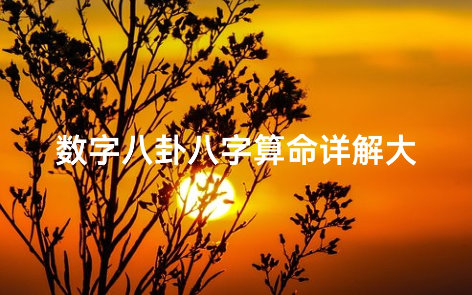 数字八卦八字算命详解大全(易经幸运数字,易经算命)