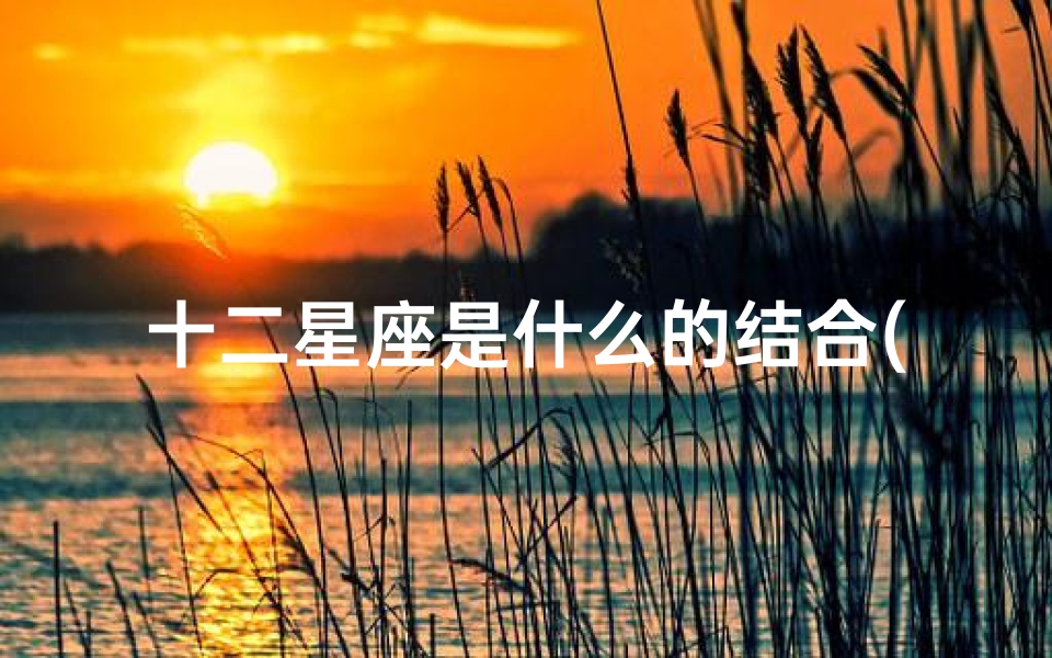 十二星座是什么的结合(十二星座谁是天生一对什么星座和什么星座是天生一对)