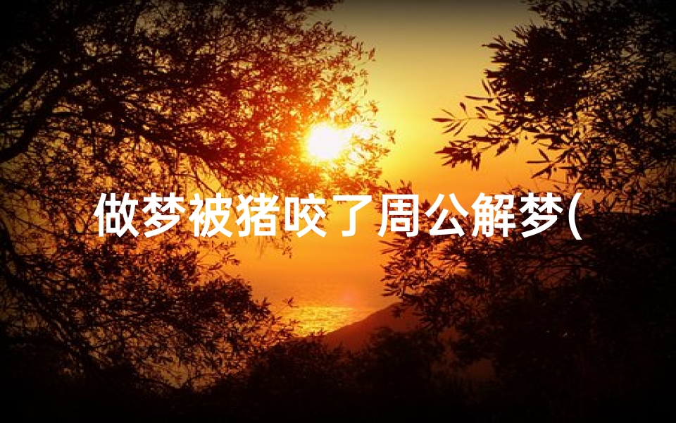 做梦被猪咬了周公解梦(梦见被猪咬有什么预兆 是什么意思 )