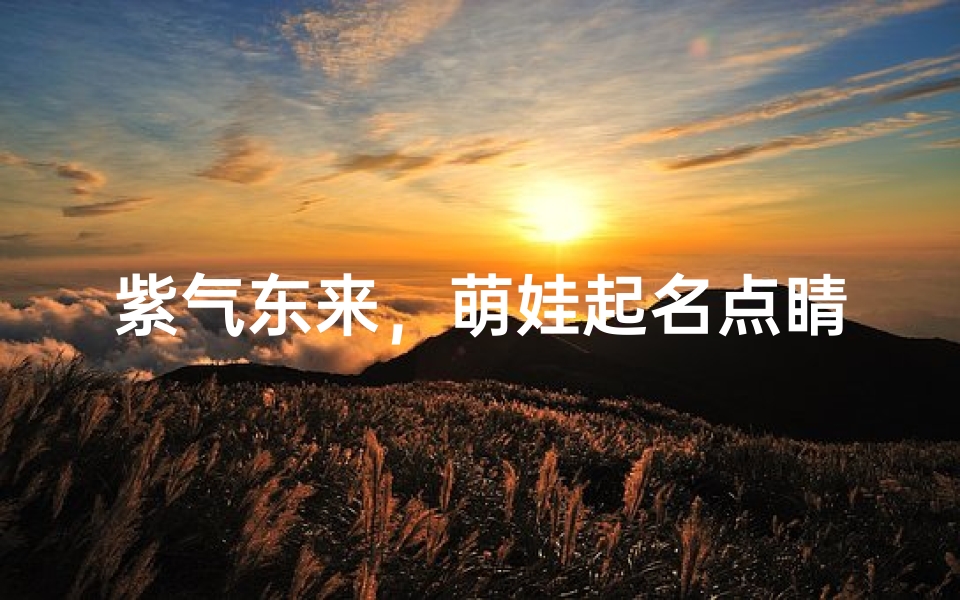紫气东来，萌娃起名点睛之笔