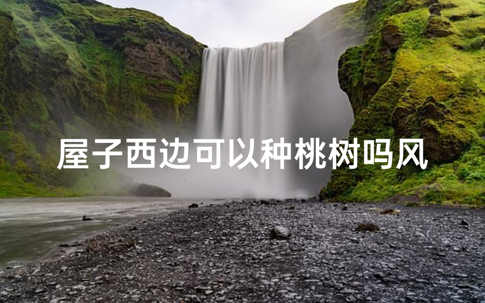 屋子西边可以种桃树吗风水