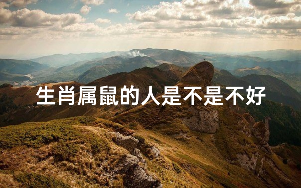 生肖属鼠的人是不是不好
