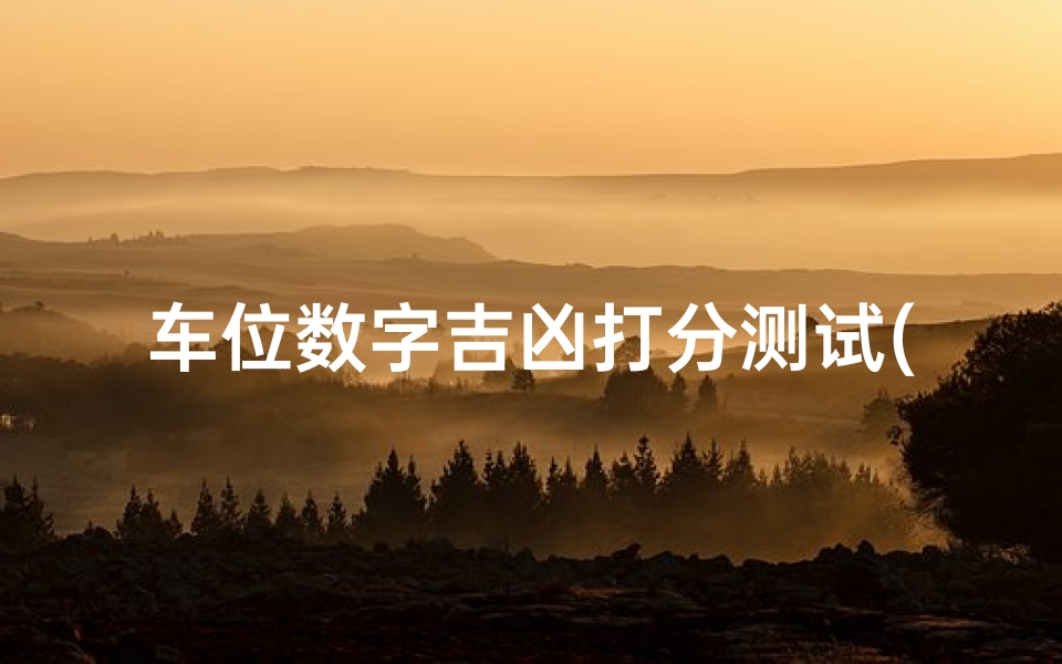 车位数字吉凶打分测试(车位什么号码不能要)