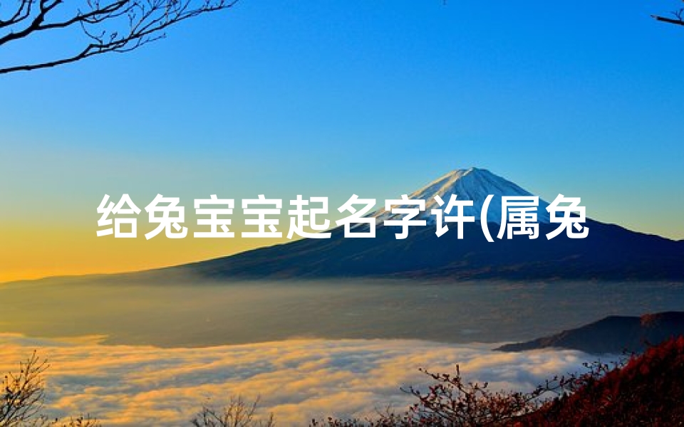 给兔宝宝起名字许(属兔男孩取名宜用字)