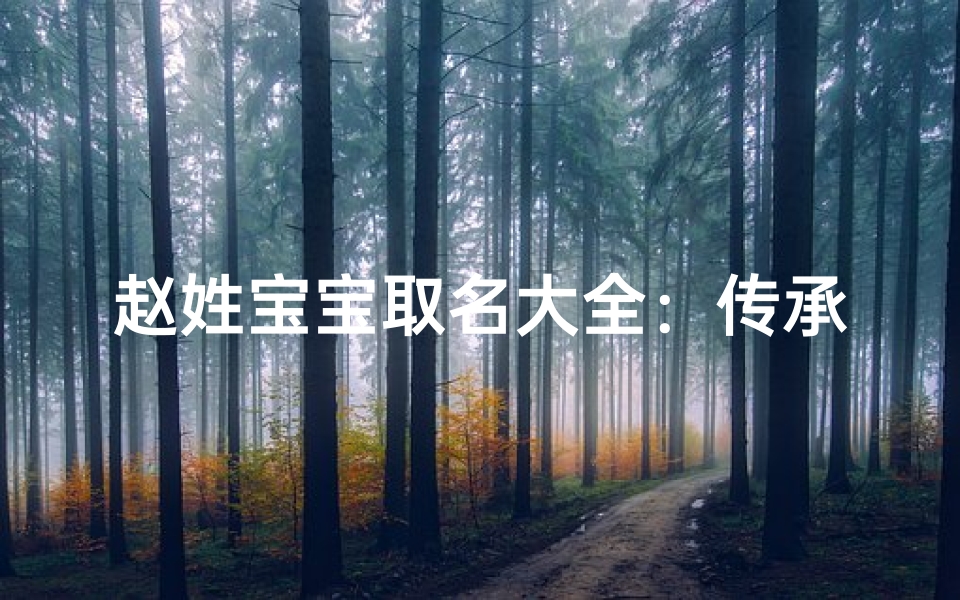 赵姓宝宝取名大全:传承与创新并重的命名指南
