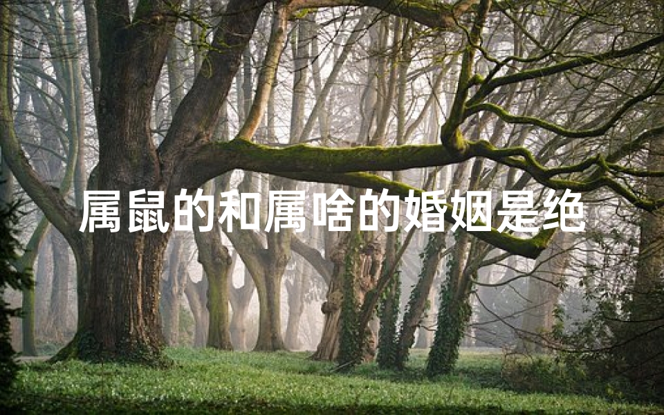 属鼠的和属啥的婚姻是绝配(属鼠与谁配婚姻最绝配?揭秘最佳拍档)