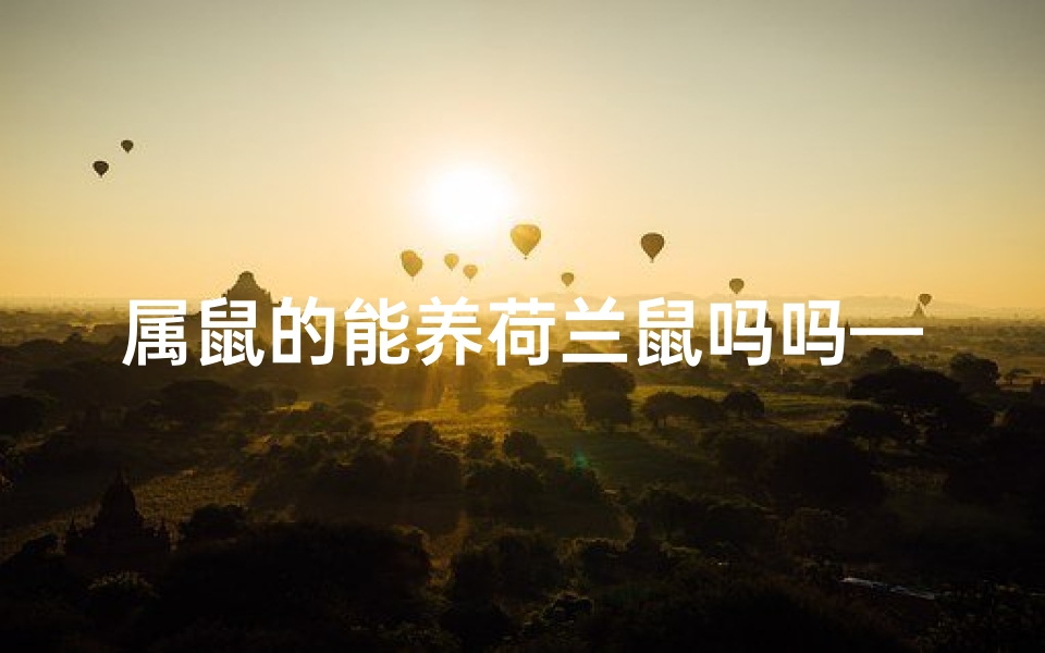 属鼠的能养荷兰鼠吗吗—属鼠能养荷兰鼠吗?鼠鼠间的奇妙缘分
