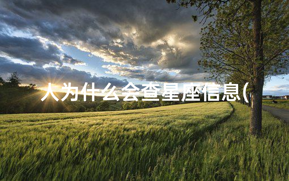 人为什么会查星座信息(到底是什么样的人喜欢研究星座)