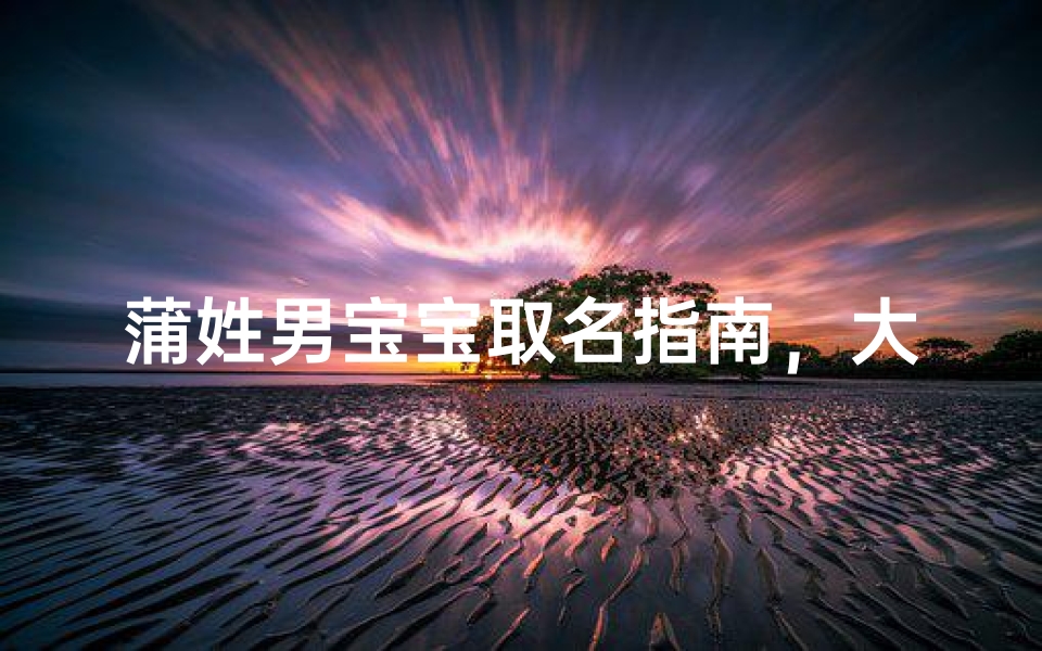 蒲姓男宝宝取名指南,大气文雅名字推荐