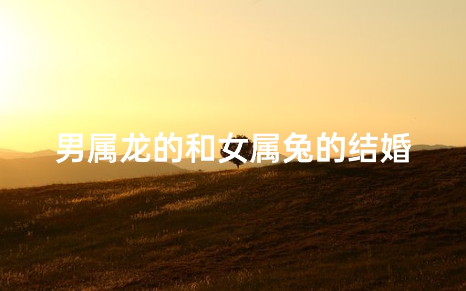 男属龙的和女属兔的结婚好吗-龙凤呈祥:龙男兔女婚姻美满之道