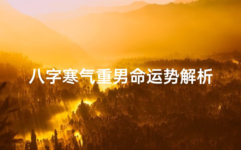 八字寒气重男命运势解析