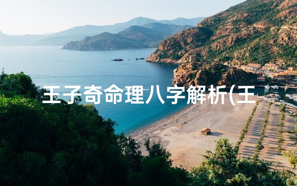 王子奇命理八字解析(王姓双胞胎男起名)