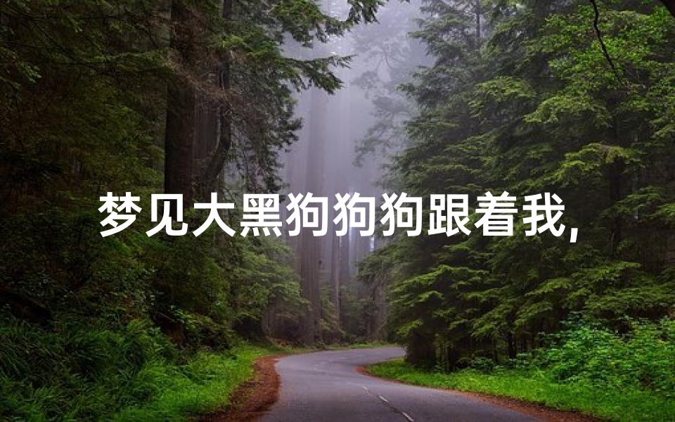 梦见大黑狗狗狗跟着我,梦见一只大黑狗跟着我走