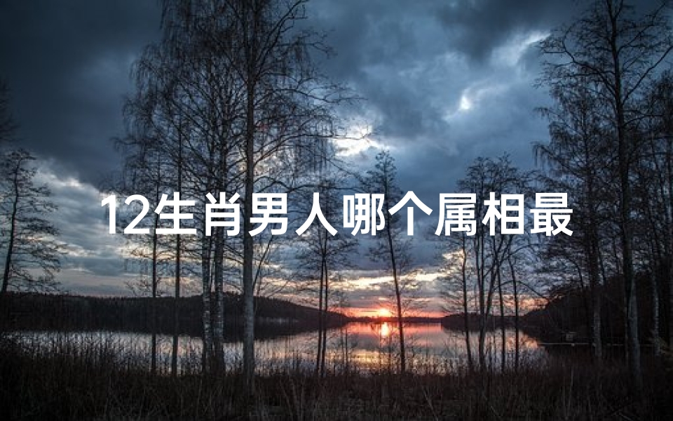 12生肖男人哪个属相最好(子时出生哪个属相最好男)