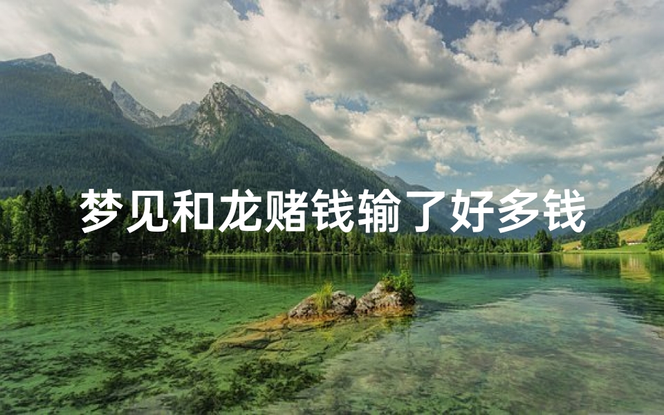 梦见和龙赌钱输了好多钱_做梦梦见赌钱输光了然后大悟