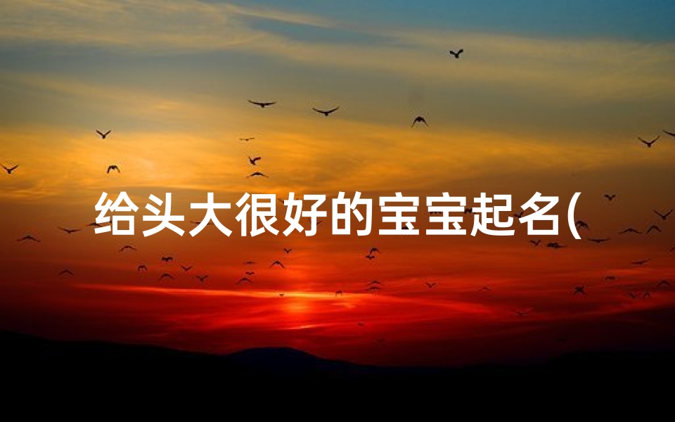 给头大很好的宝宝起名(宝宝起名)