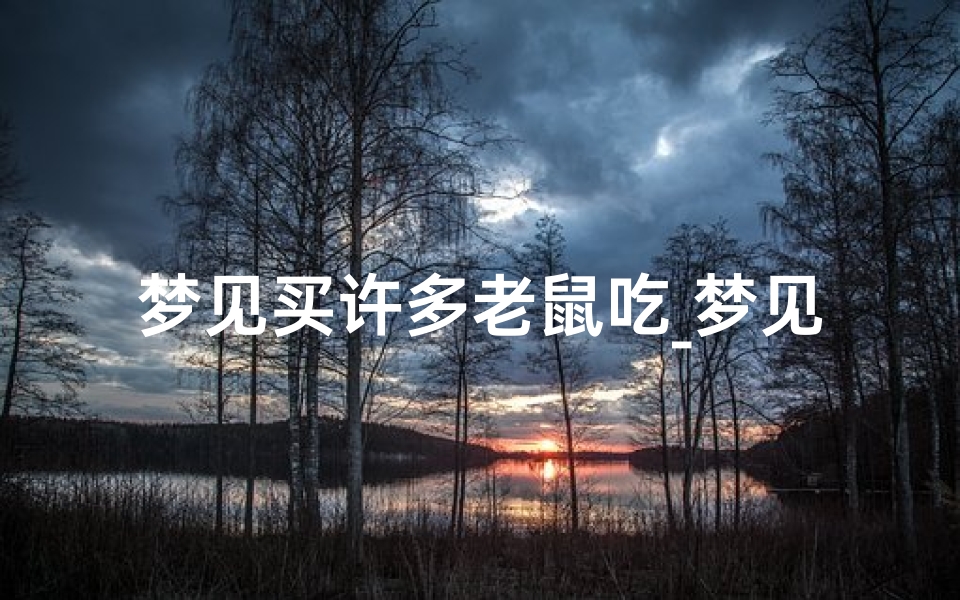 梦见买许多老鼠吃_梦见买老鼠药