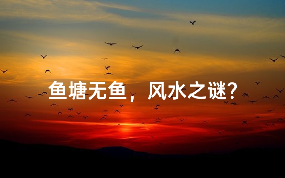 鱼塘无鱼,风水之谜?