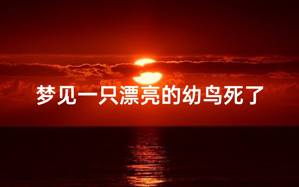 梦见一只漂亮的幼鸟死了_梦到一只小鸟死了