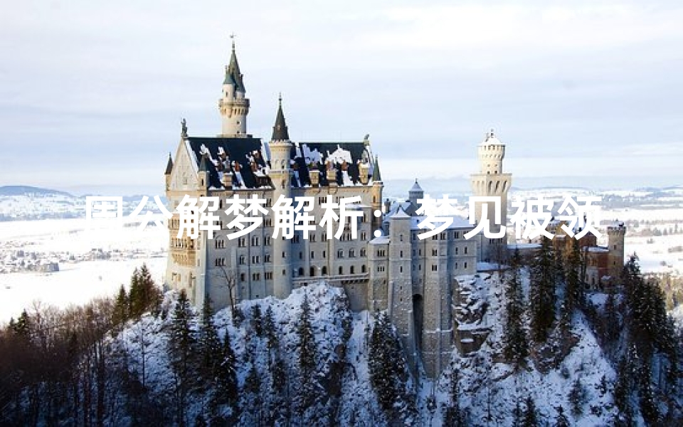 周公解梦解析:梦见被领导责骂的心理暗示与职场启示