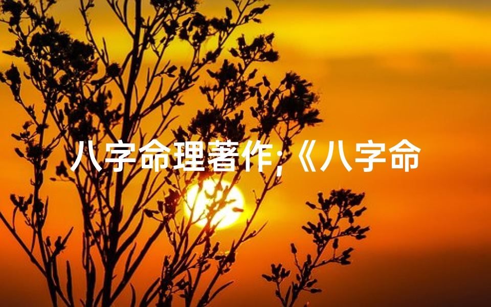 八字命理著作;《八字命理揭秘:经典案例分享与智慧传承》