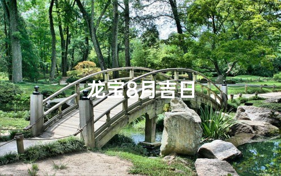 龙宝8月吉日-海瑞算卦网