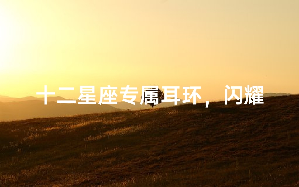 十二星座专属耳环,闪耀你的个性光芒