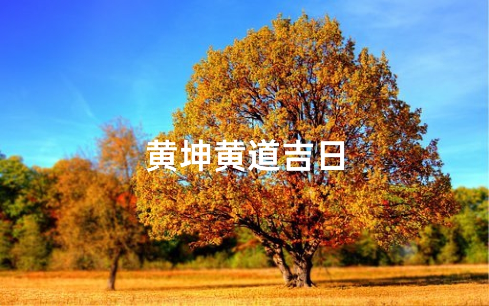 黄坤黄道吉日