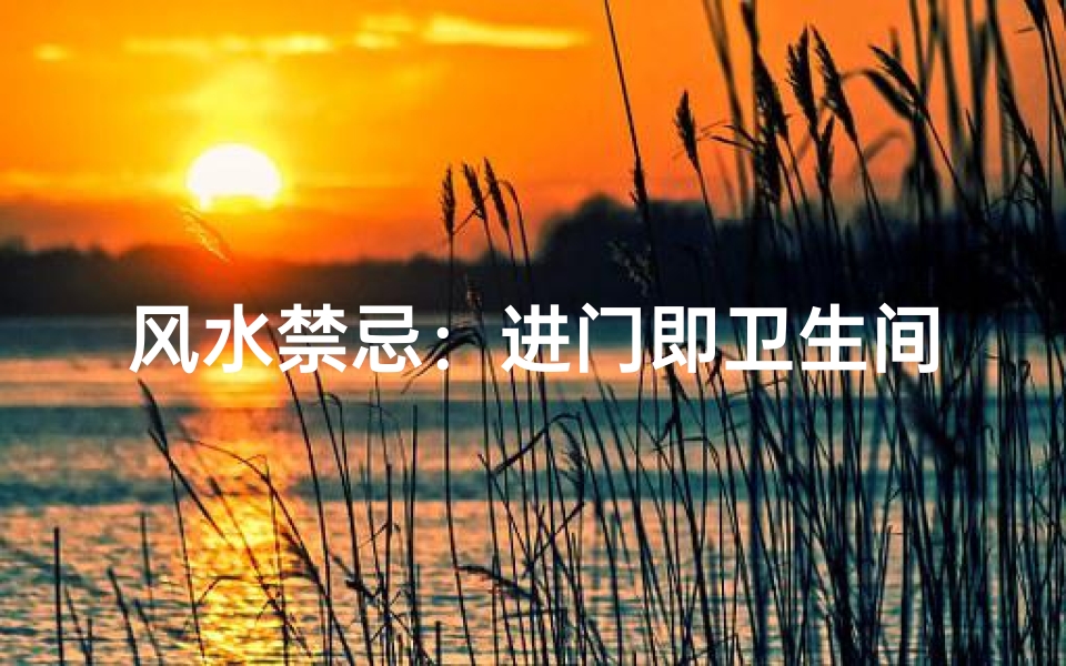风水禁忌:进门即卫生间,家居布局需谨慎