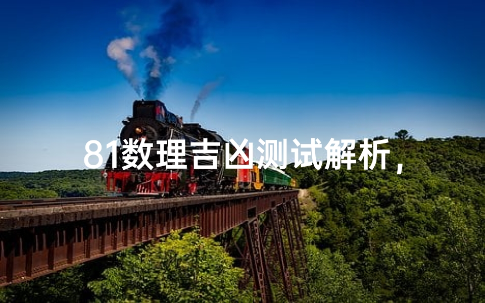 81数理吉凶测试解析，揭秘数字背后的命运密码