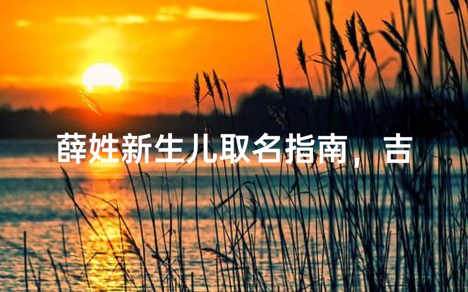 薛姓新生儿取名指南,吉祥美好的名字推荐与寓意解析