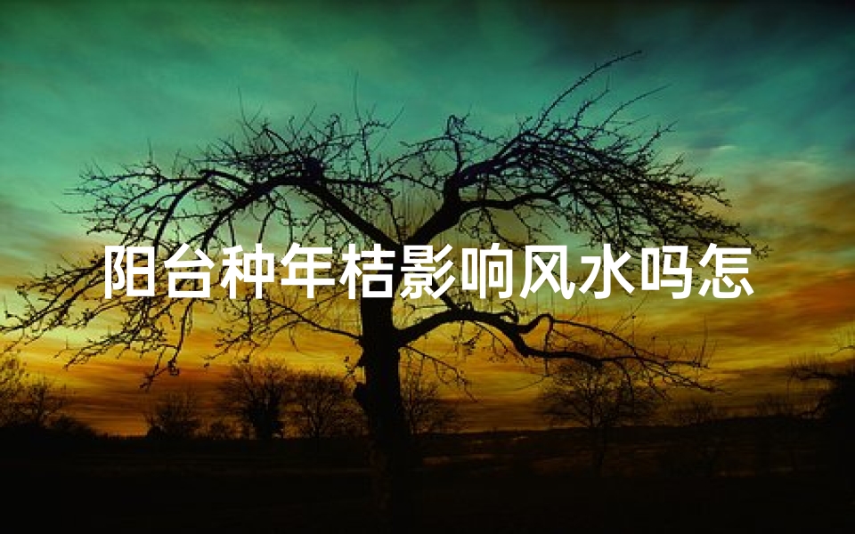 阳台种年桔影响风水吗怎么办;阳台种年桔真的影响风水吗?
