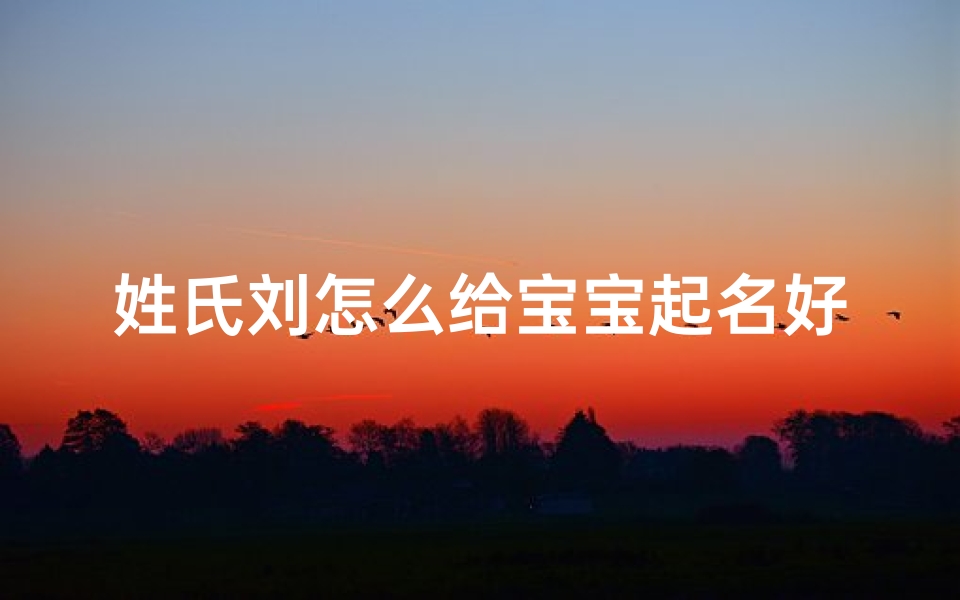 姓氏刘怎么给宝宝起名好(给宝宝起个好名字刘)