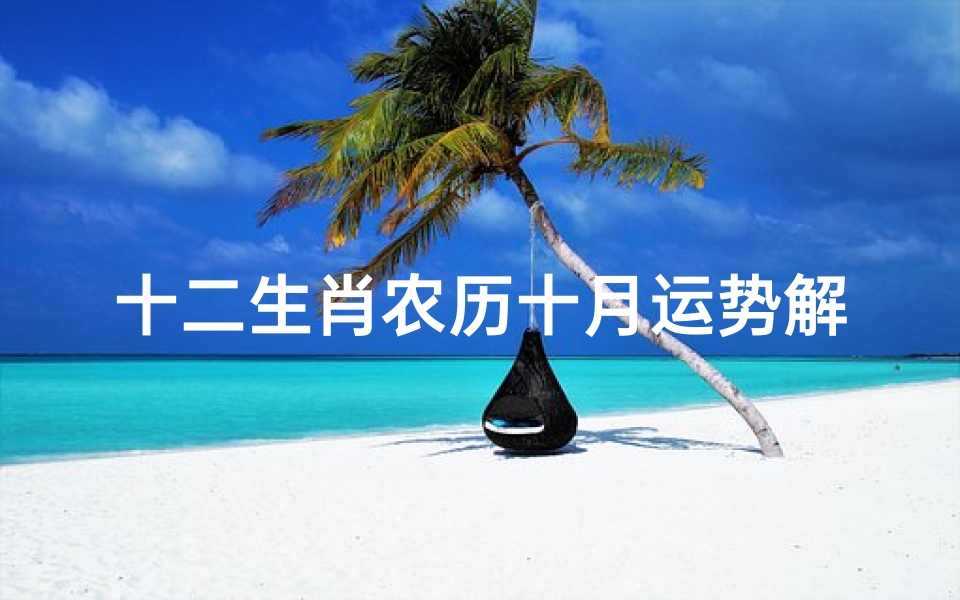 十二生肖农历十月运势解析,吉凶预测与注意事项全知道