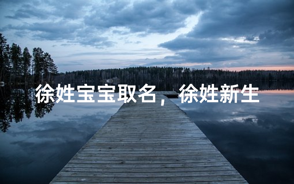 徐姓宝宝取名,徐姓新生儿吉祥名字大全推荐